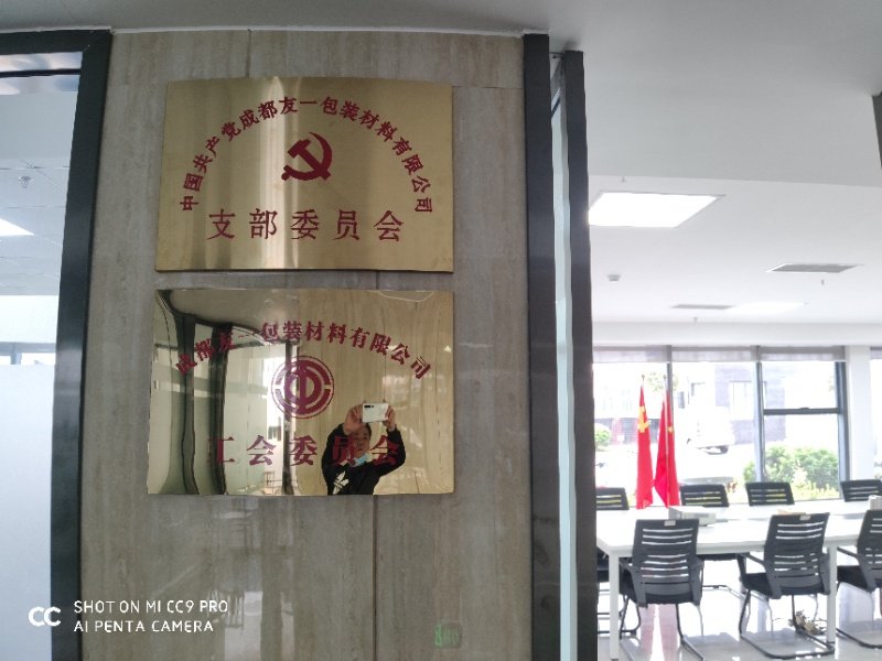 ����ף�ؾ۲��ü��ųɶ��ֹ�˾��֧����2020��3��11�����ƽ�����֧����ǲ���(����������)